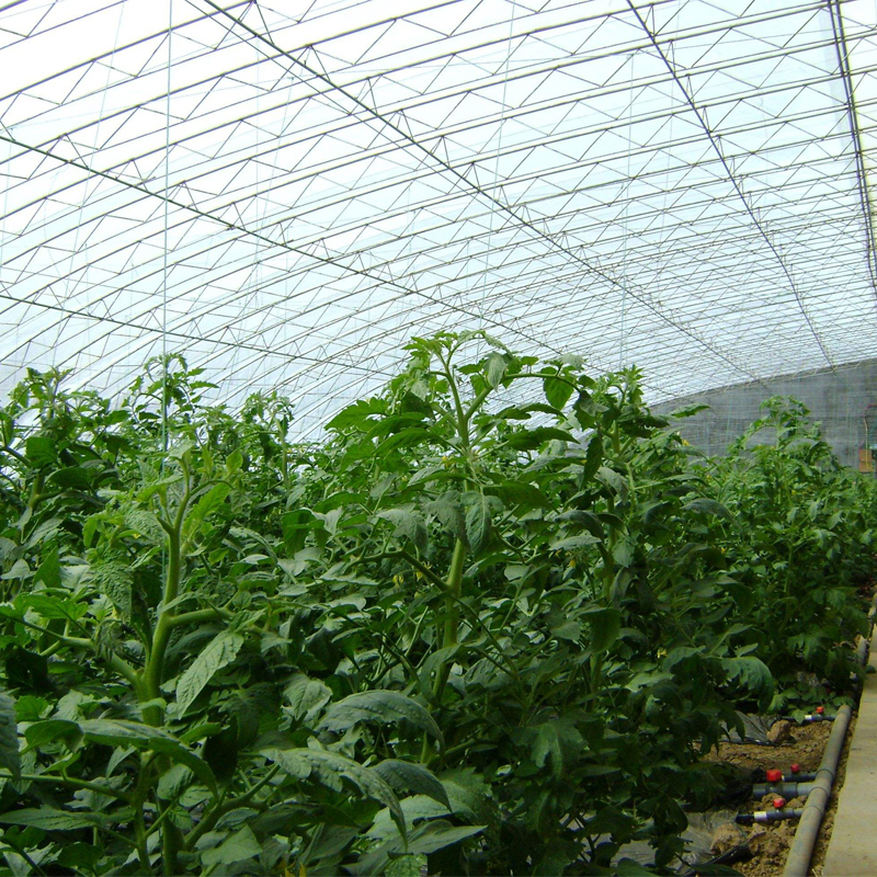 轉光PO農(nóng)膜